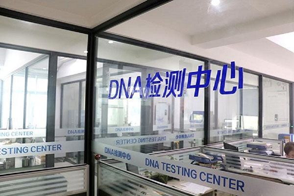 山东DNA检测到哪里做便宜又靠谱（推荐经济实惠可信赖的DNA检测机构） 